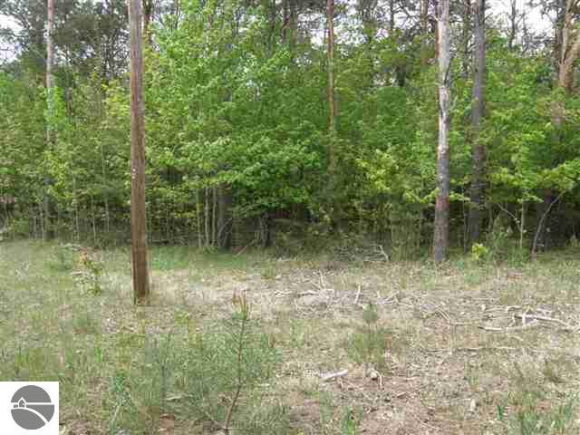 Lot 10 Roberts Road, Unit LOT: 10 Beulah, MI 49617 - Photo 4 of 20 Gallery Image 4