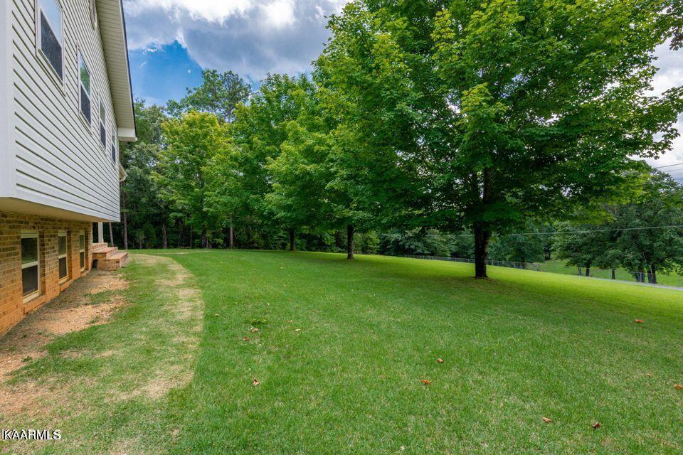 401 Ault Road Spring City, TN 37381 - Photo 6 of 47 6