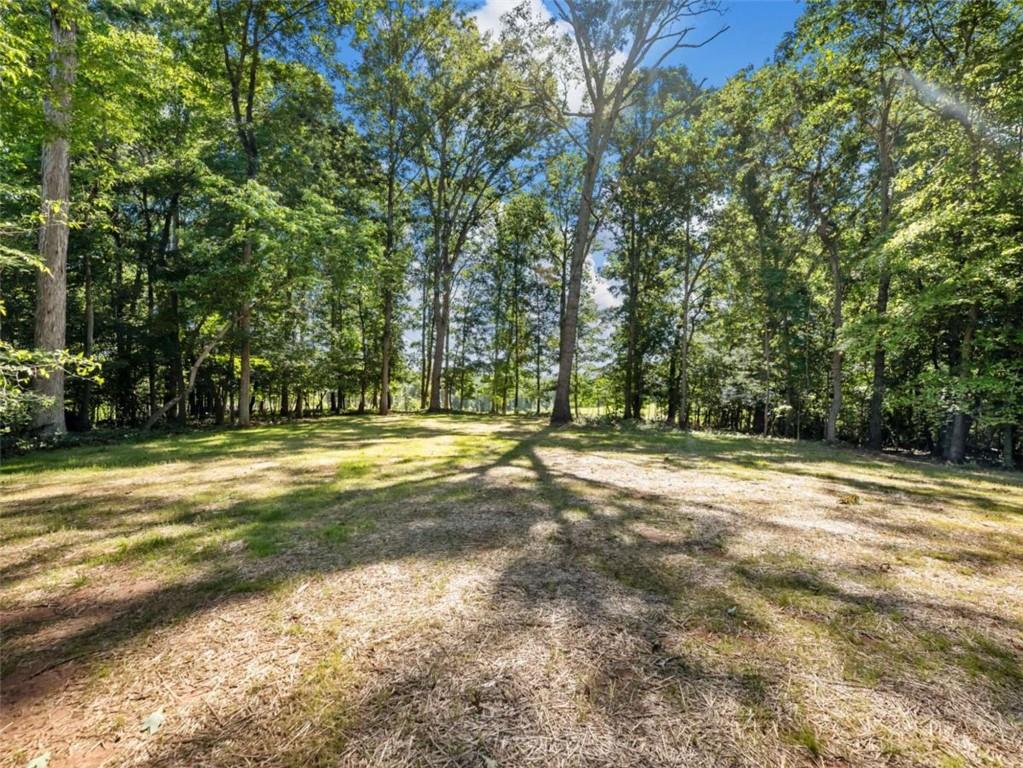 1885 Post Road Cleveland, GA 30528 - Photo 42 of 49