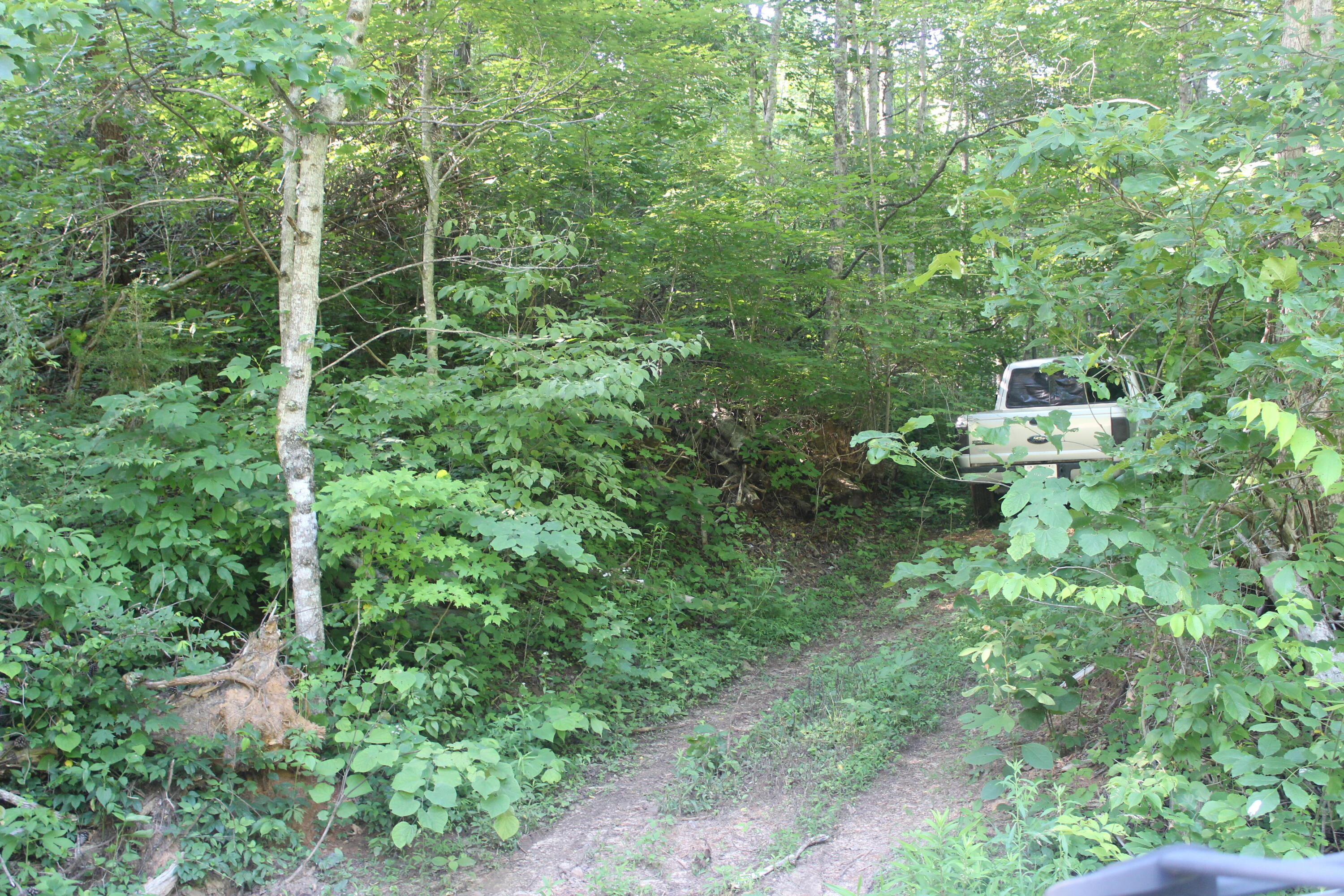 Sherm Mountain Rd Road Sneedville, TN 37869 - Photo 1 of 12 IMG_1848