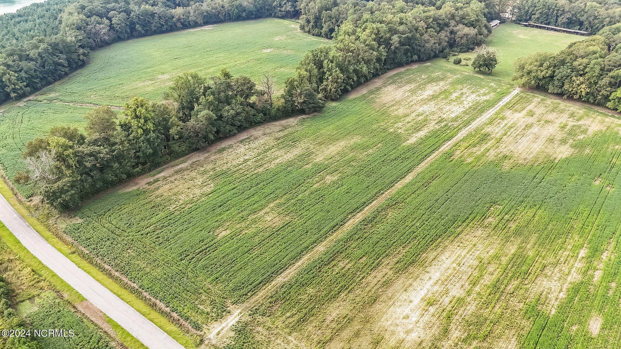 O Gray Grant Road Kinston, NC 28504 - Photo 9 of 11 9-web-or-mls-DJI_20240930104544_0099_D