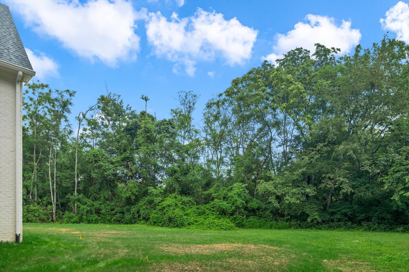 7283 Ruzek Court Fairview, TN 37062 - Photo 61 of 61 Gallery Image 61