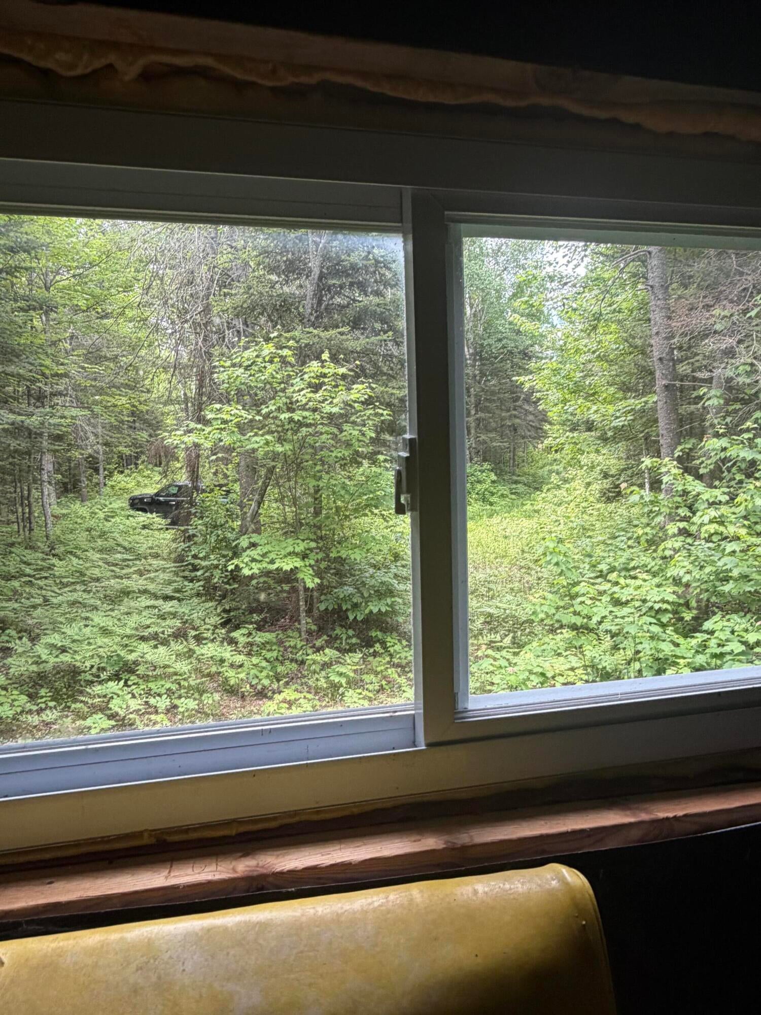 13182 South Forrest Side Road Dafter, MI 49724 - Photo 51 of 57 Gallery Image 51