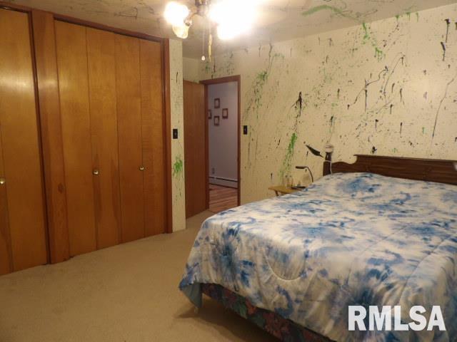 736 North Mill Street Carrier Mills, IL 62917 - Photo 20 of 35 a bedroom with a bed and wooden floor