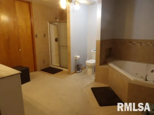 $200,000 | 736 North Mill Street, Carrier Mills, IL 62917