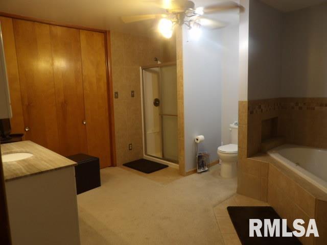 736 North Mill Street Carrier Mills, IL 62917 - Photo 25 of 35 a spacious bathroom with a granite countertop sink a toilet and shower