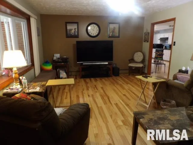 $190,000 | 736 North Mill Street, Carrier Mills, IL 62917