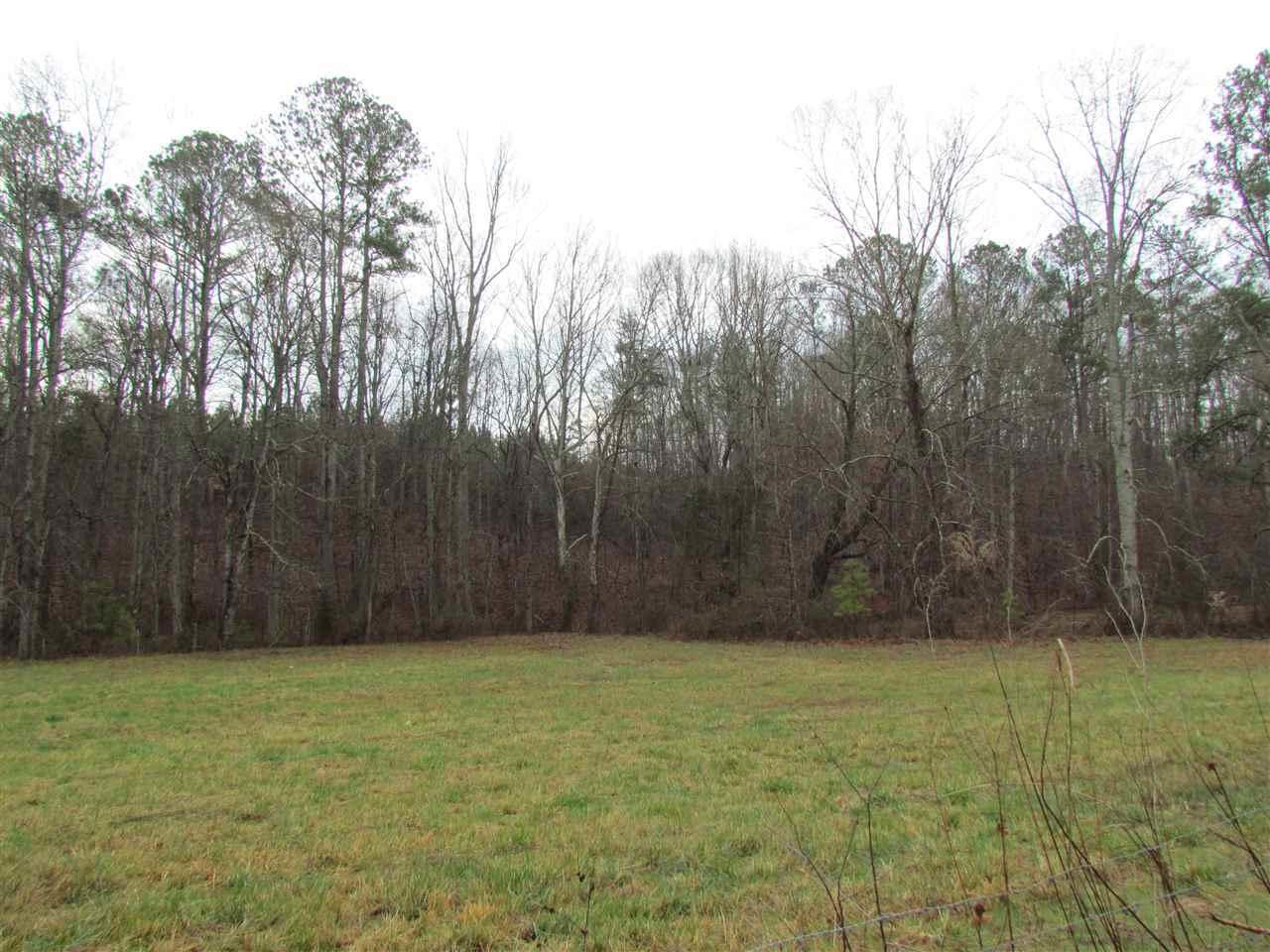 21-acres 21-acres Van Davis Road, Unit LOT 1 Charleston, TN 37310 - Photo 11 of 20 20190151