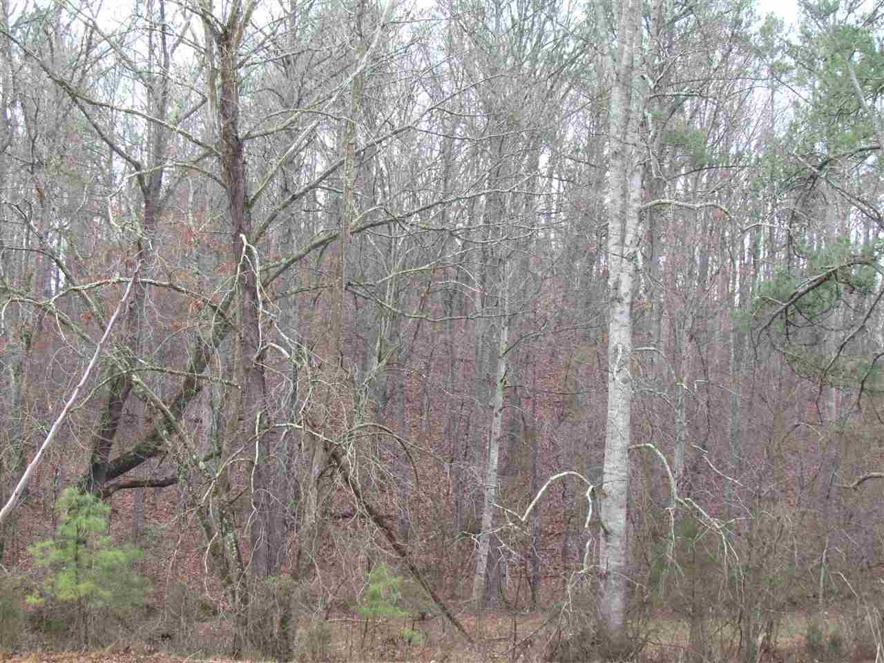 21-acres 21-acres Van Davis Road, Unit LOT 1 Charleston, TN 37310 - Photo 15 of 20 20190151-4