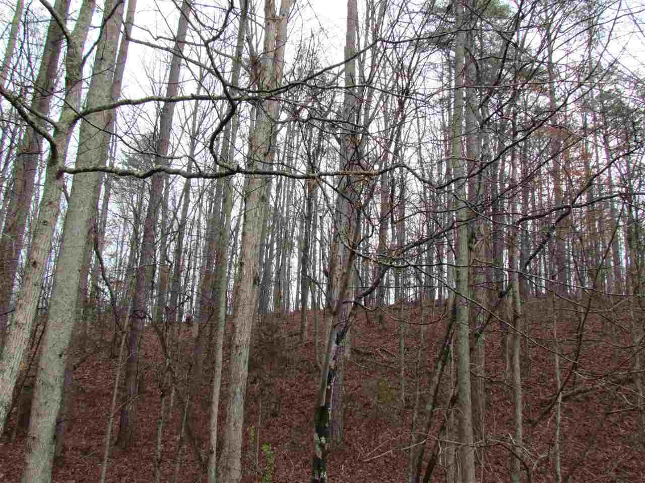 21-acres 21-acres Van Davis Road, Unit LOT 1 Charleston, TN 37310 - Photo 16 of 20 20190151-5