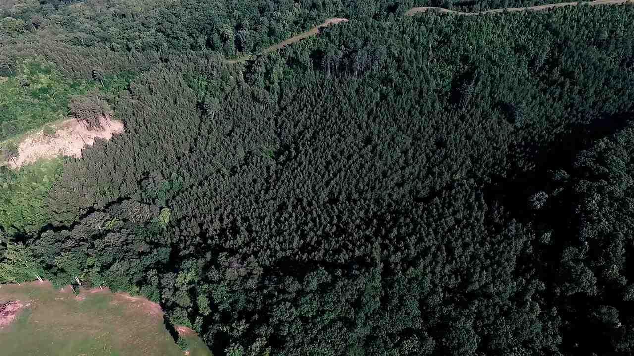 21-acres 21-acres Van Davis Road, Unit LOT 1 Charleston, TN 37310 - Photo 17 of 20 20190151-6