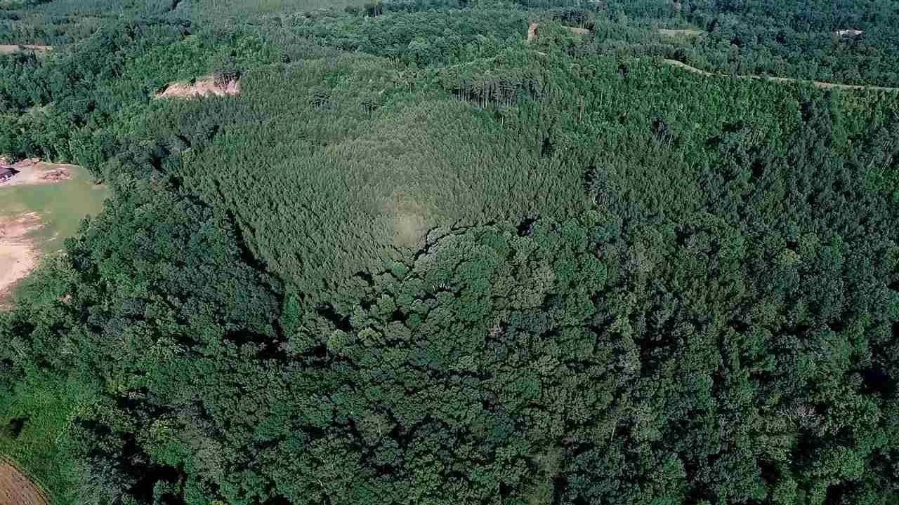 21-acres 21-acres Van Davis Road, Unit LOT 1 Charleston, TN 37310 - Photo 18 of 20 20190151-7