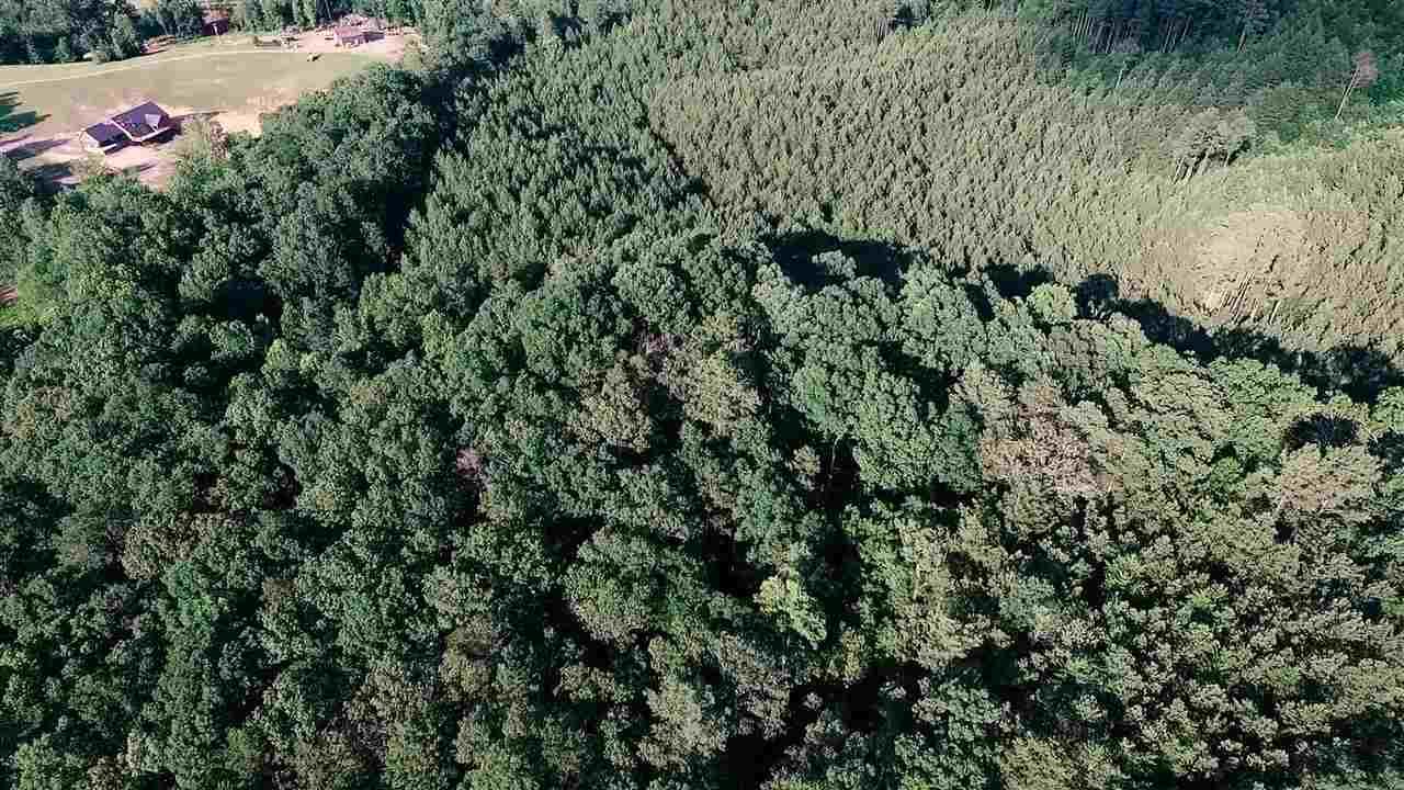 21-acres 21-acres Van Davis Road, Unit LOT 1 Charleston, TN 37310 - Photo 19 of 20 20190151-8