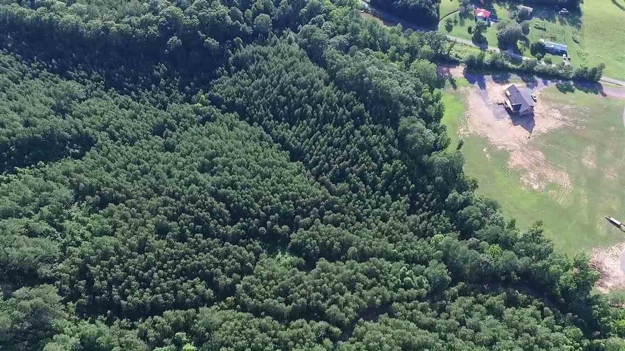 21-acres 21-acres Van Davis Road, Unit LOT 1 Charleston, TN 37310 - Photo 20 of 20 20190151-9