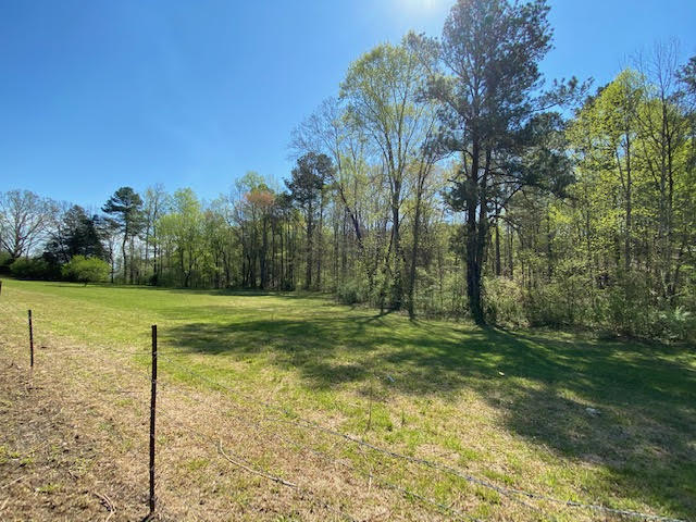 21-acres 21-acres Van Davis Road, Unit LOT 1 Charleston, TN 37310 - Photo 2 of 20 2