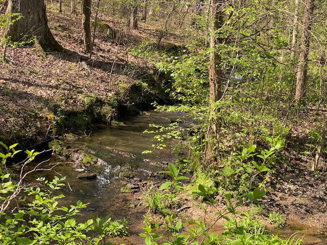 21-acres 21-acres Van Davis Road, Unit LOT 1 Charleston, TN 37310 - Photo 3 of 20 7