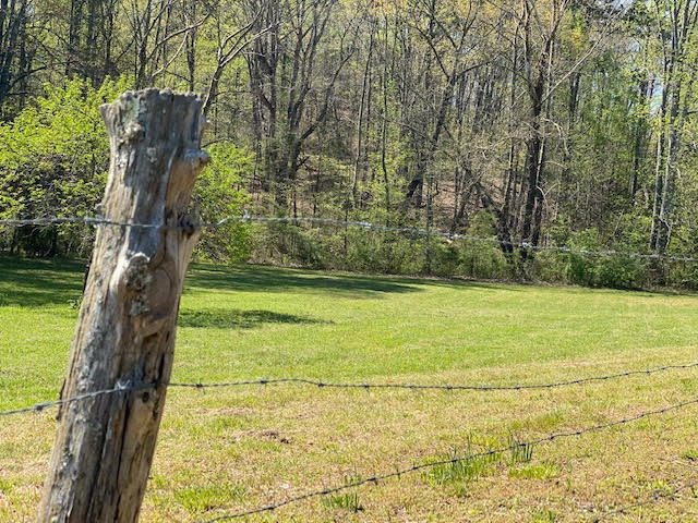 21-acres 21-acres Van Davis Road, Unit LOT 1 Charleston, TN 37310 - Photo 4 of 20 8