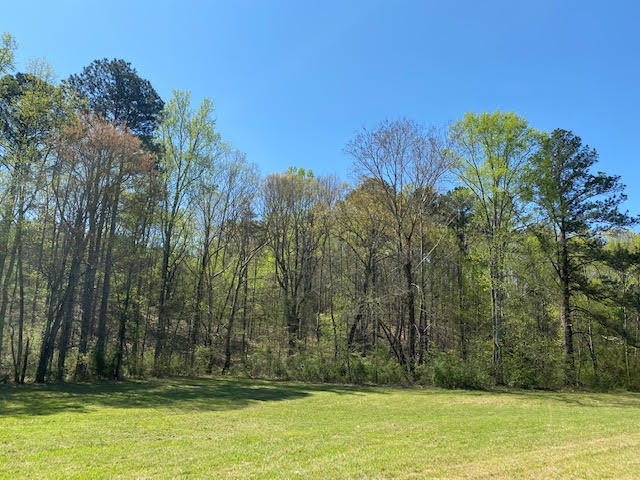 21-acres 21-acres Van Davis Road, Unit LOT 1 Charleston, TN 37310 - Photo 5 of 20 9