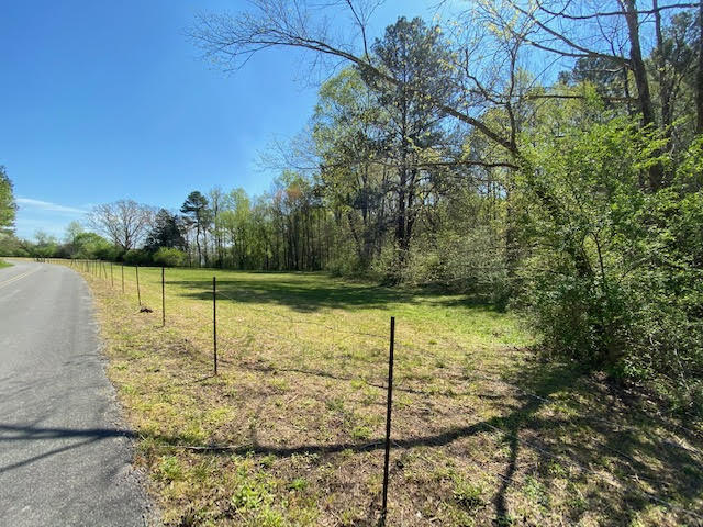 21-acres 21-acres Van Davis Road, Unit LOT 1 Charleston, TN 37310 - Photo 7 of 20 unnamed