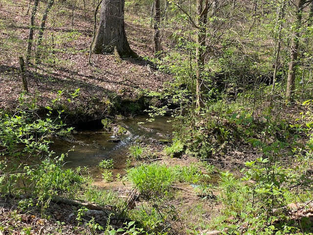 21-acres 21-acres Van Davis Road, Unit LOT 1 Charleston, TN 37310 - Photo 8 of 20 6