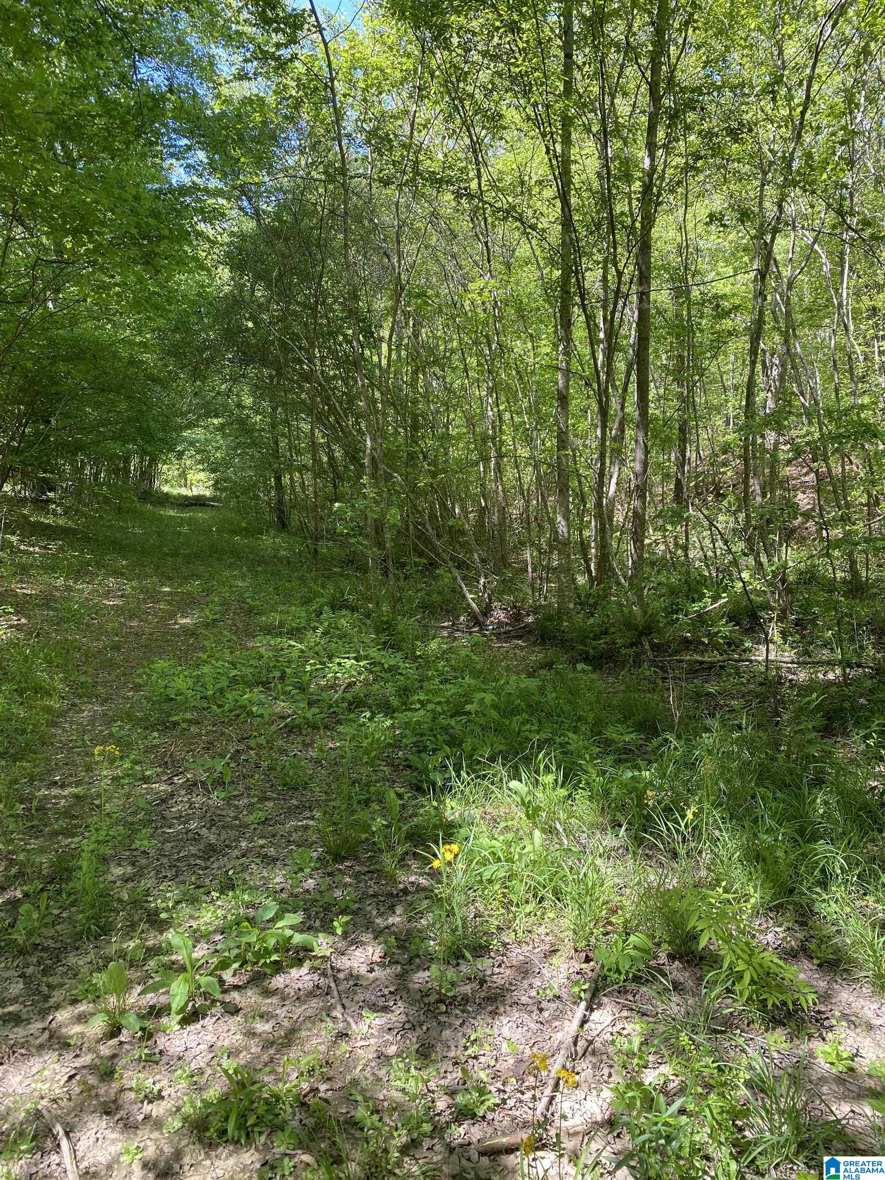 8346 Serene Lake Road McCalla, AL 35111 - Photo 7 of 24