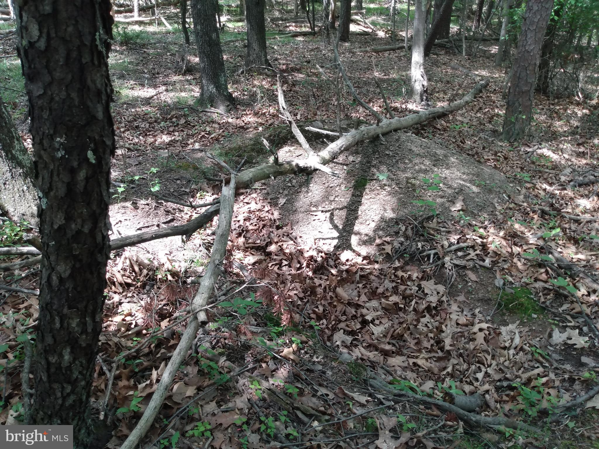 Lot 2 Gateway Road Berkeley Springs, WV 25411 - Photo 5 of 5 Septic permit site