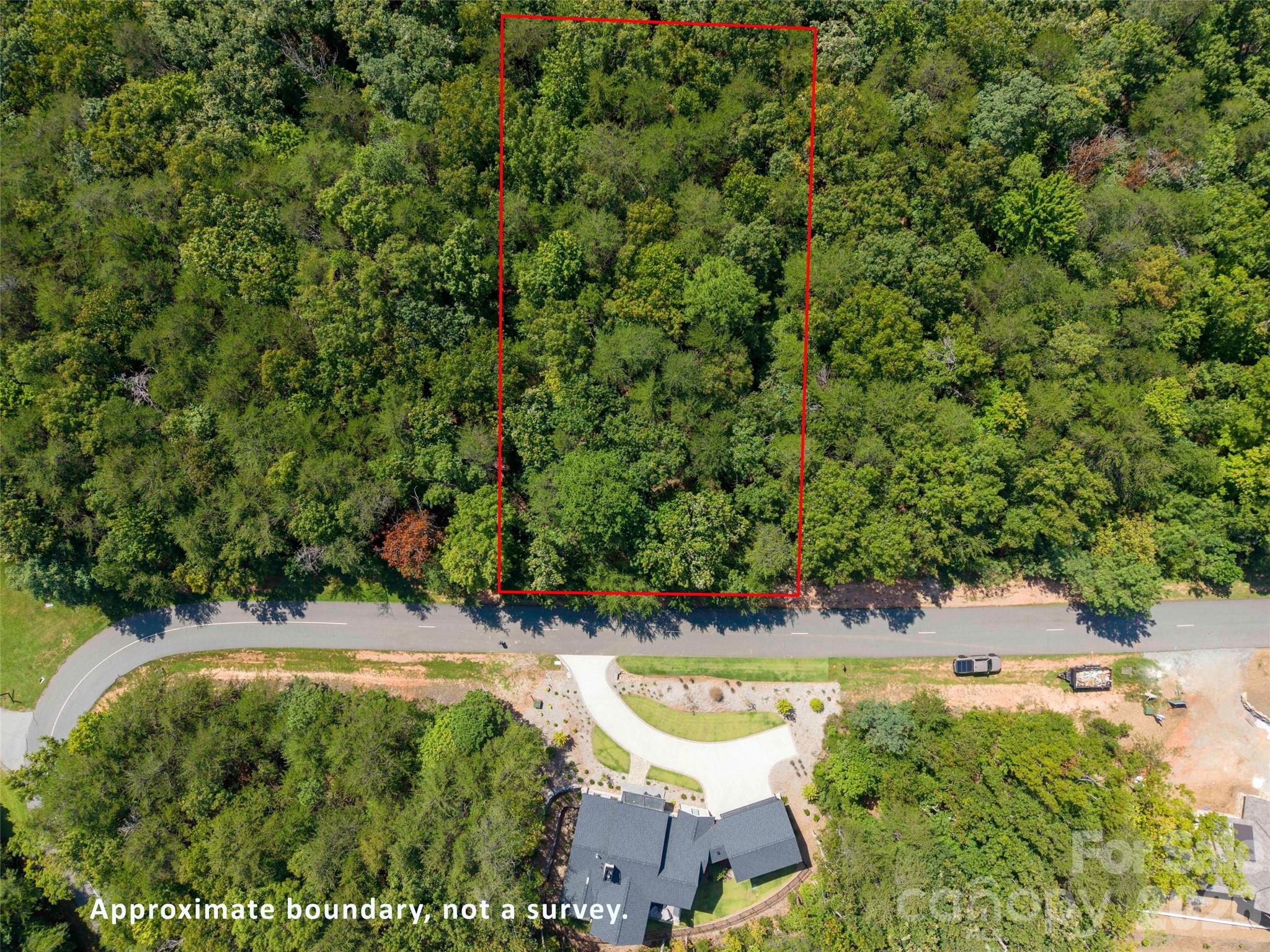 Lot 2006 Deep Gap Farm Rd Mill Spring West Mill Spring, NC 28756 - Photo 4 of 21 Gallery Image 4