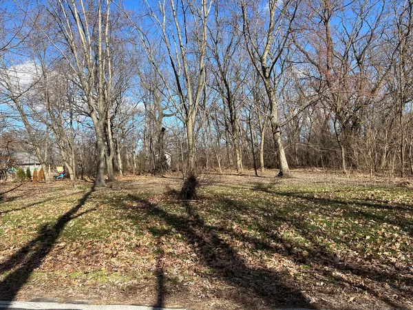 a view of a tree in the middle of a yard