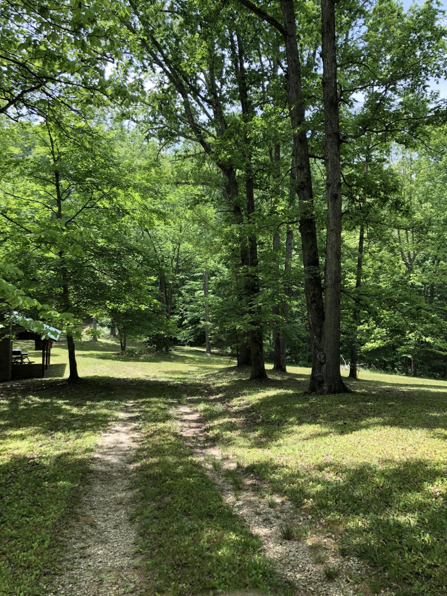 0 Carpenter Ridge Road Sandgap, KY 40481 - Photo 16 of 21 IMG_8775