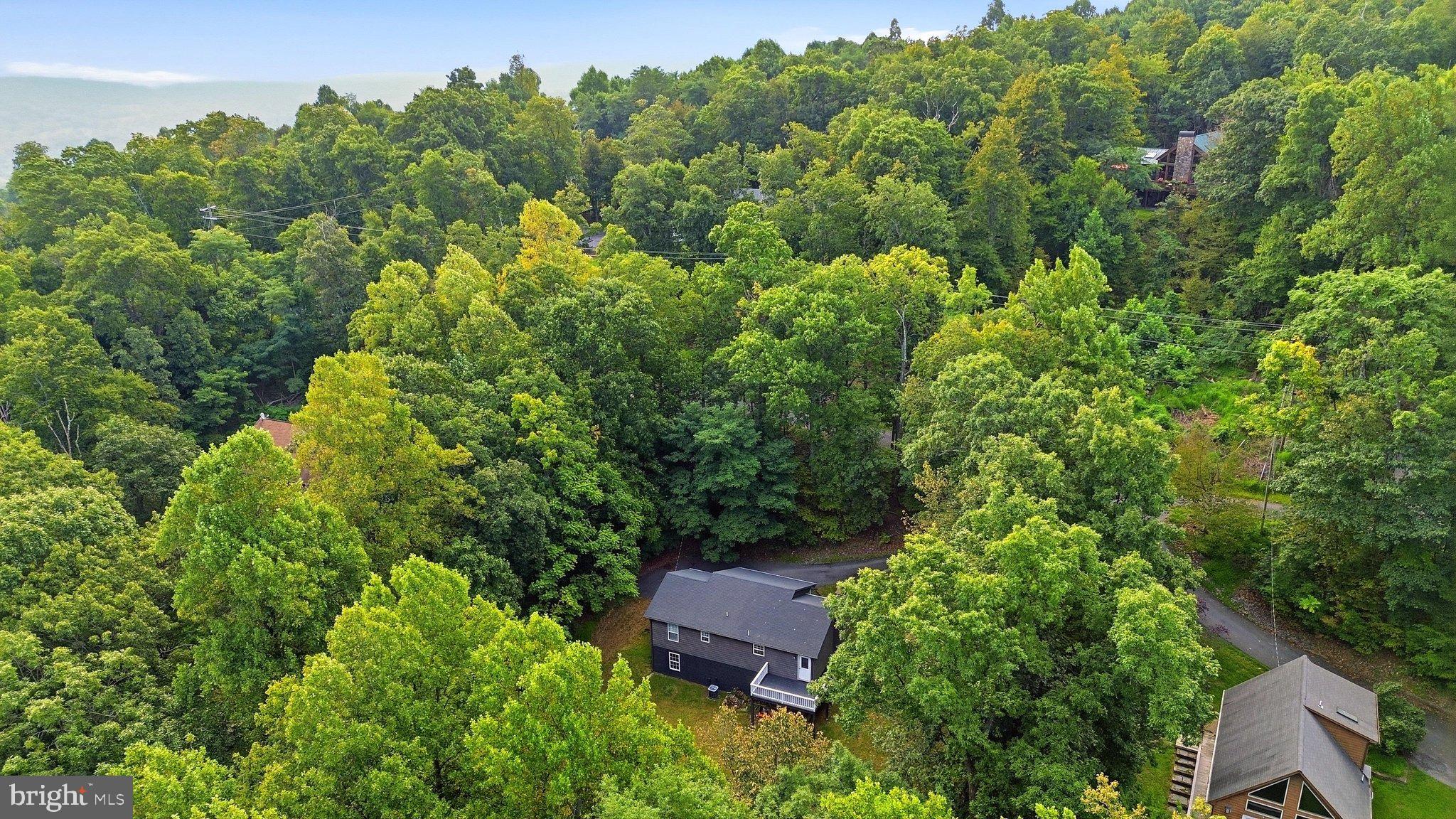 641 Salt Lick Road Front Royal, VA 22630 - Photo 37 of 43 Aerial View