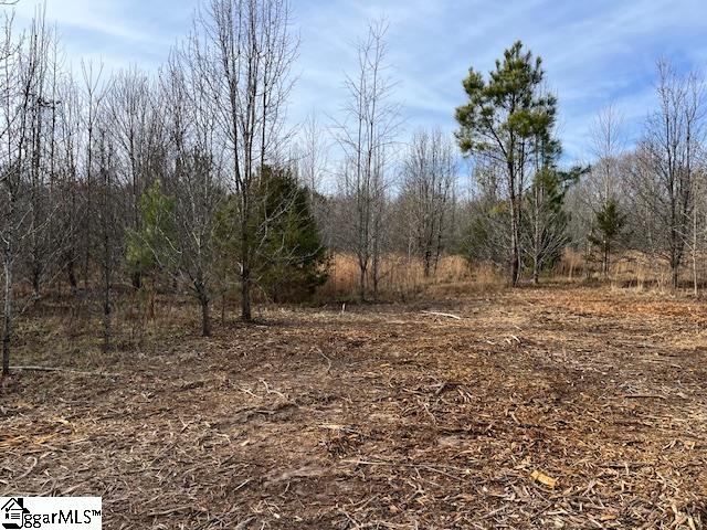 0 Settle Road, Unit LOT B Inman, SC 29349 - Photo 3 of 3