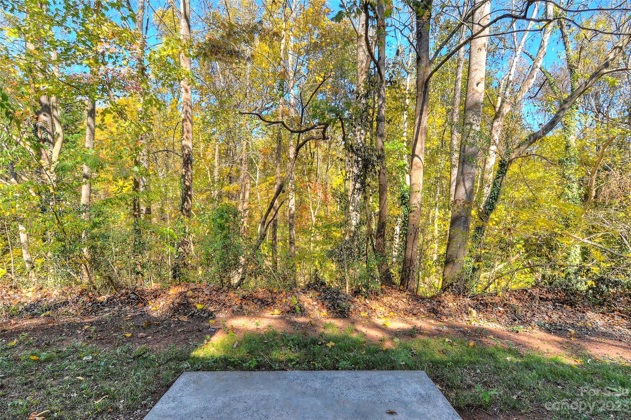 6836 Shiloh Ridge Lane Charlotte, NC 28212 - Photo 30 of 30 a backyard of a house with plants and large trees