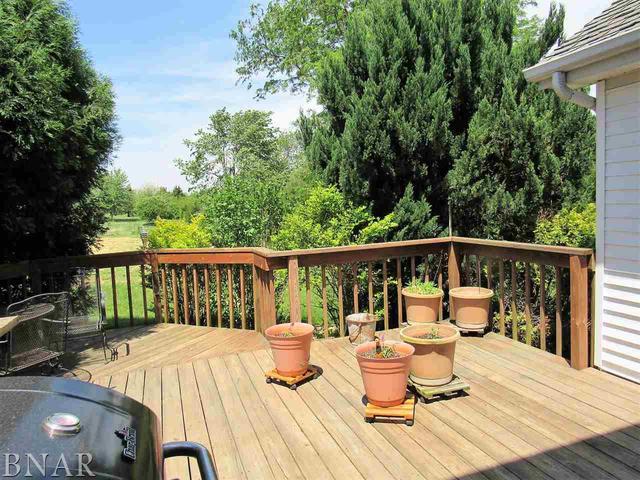 8051 Township Road Clinton, IL 61727 - Photo 3 of 24
