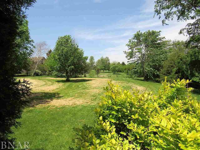 8051 Township Road Clinton, IL 61727 - Photo 5 of 24