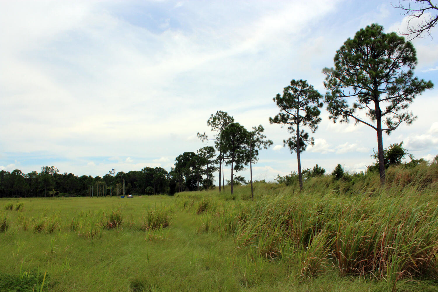 1375 North Ffa Road Fort Pierce, FL 34945 - Photo 3 of 14 Back_of_Lot