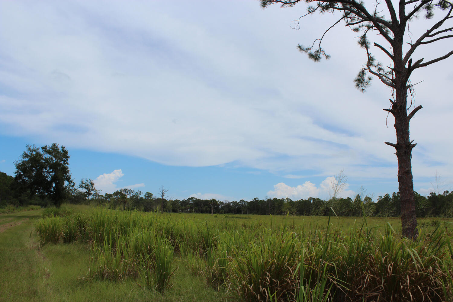 1375 North Ffa Road Fort Pierce, FL 34945 - Photo 6 of 14 Land
