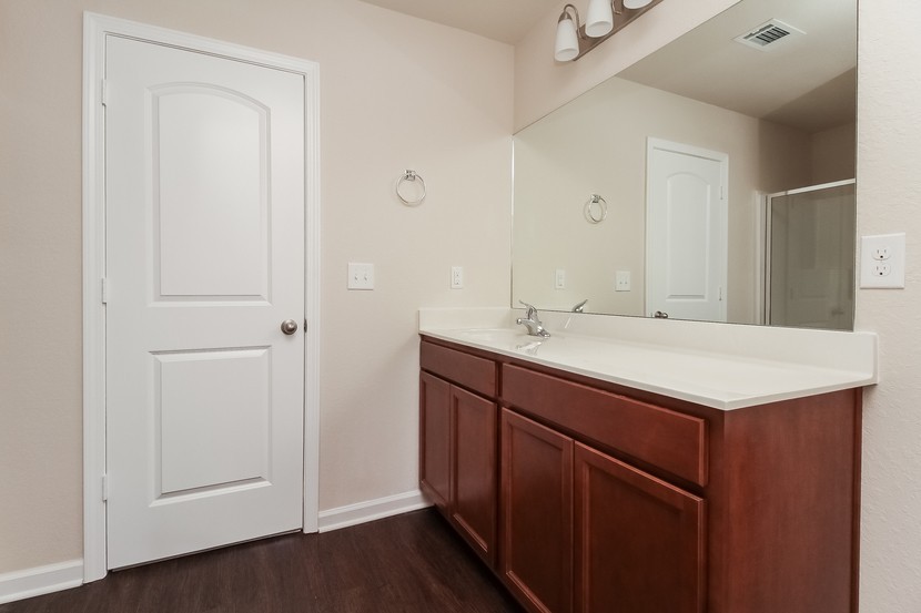 2332 Bee Hive Drive Columbia, TN 38401 - Photo 10 of 18 a bathroom with a sink and a mirror