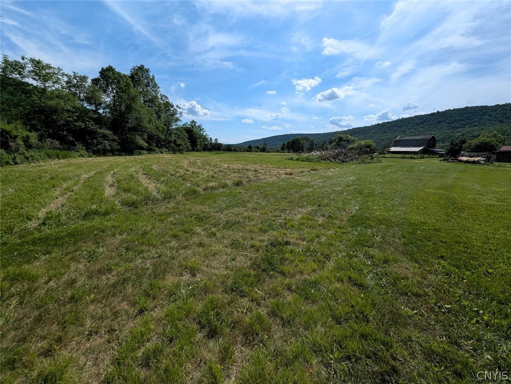 5430 Meads Creek Road Campbell, NY 14870 - Photo 43 of 48