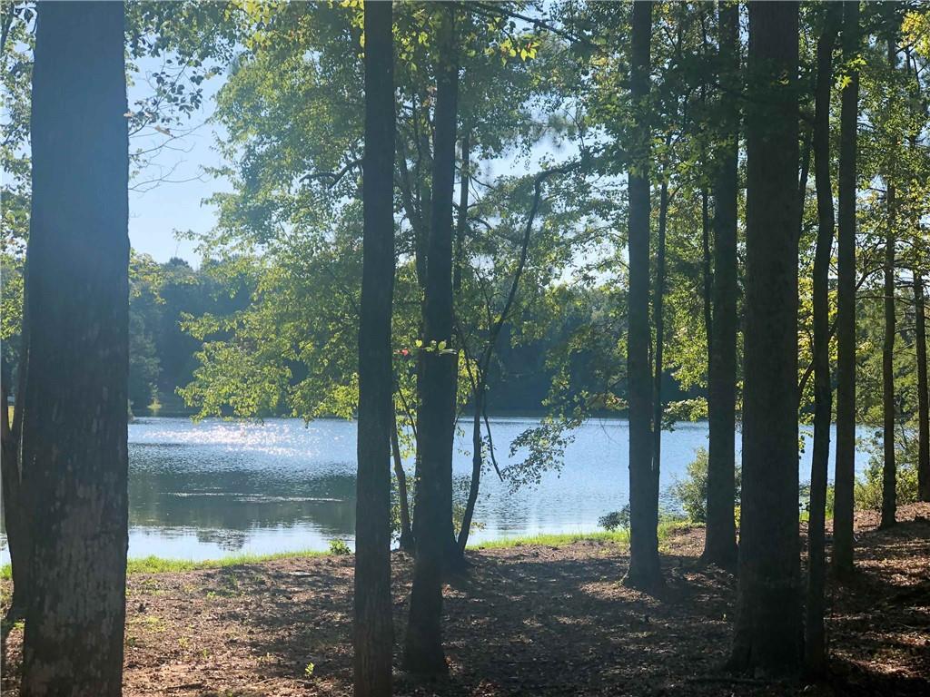 37 Farmstead Way Senoia, GA 30276 - Photo 101 of 121