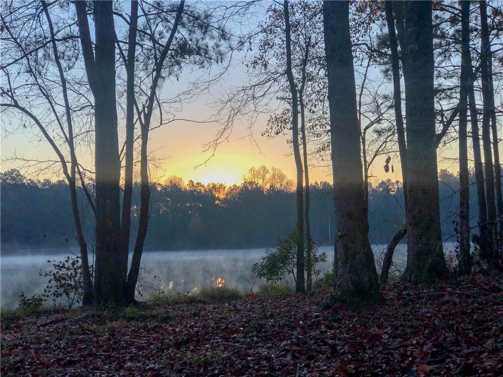 37 Farmstead Way Senoia, GA 30276 - Photo 106 of 121