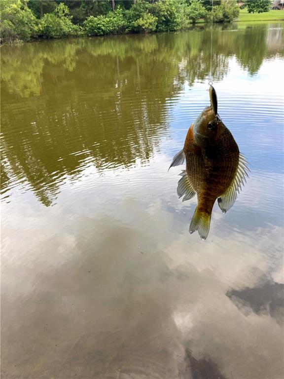 37 Farmstead Way Senoia, GA 30276 - Photo 111 of 121 a lake view with a lake view