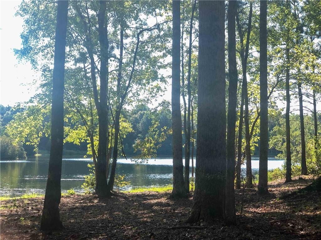 37 Farmstead Way Senoia, GA 30276 - Photo 112 of 121