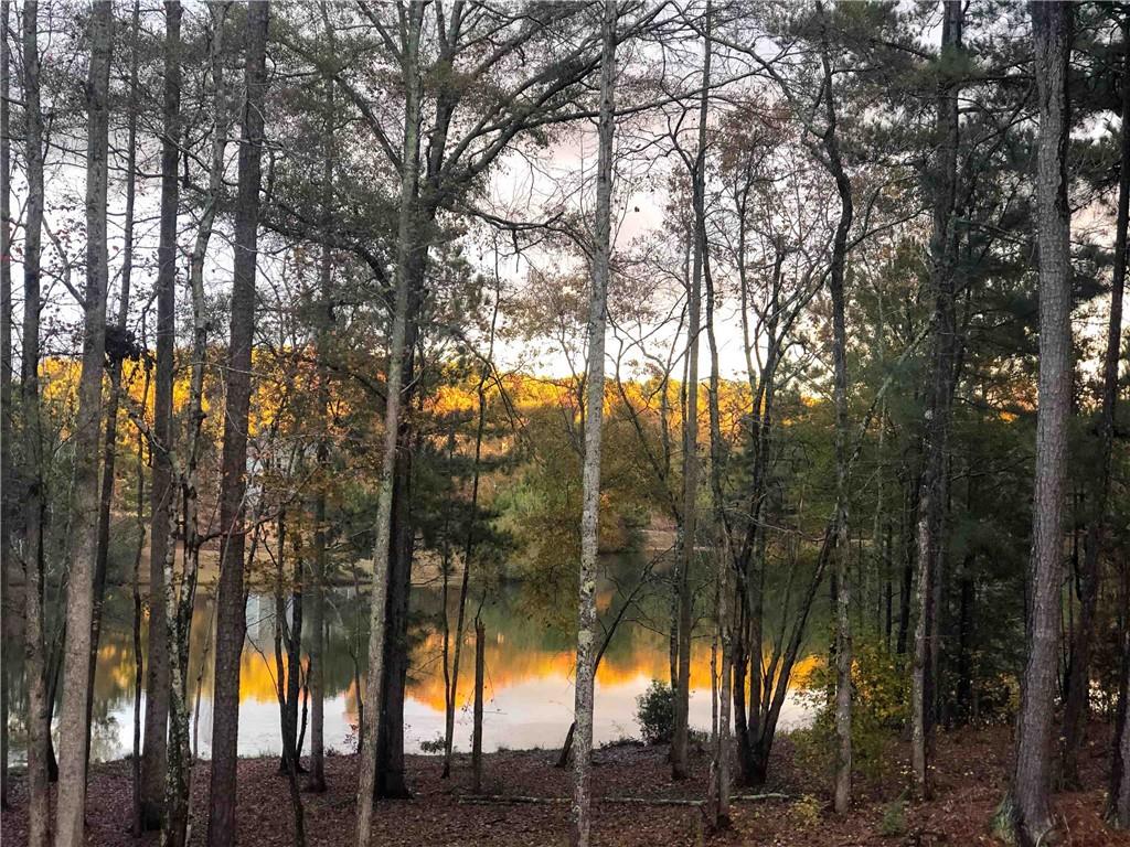 37 Farmstead Way Senoia, GA 30276 - Photo 113 of 121