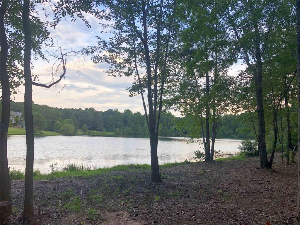 37 Farmstead Way Senoia, GA 30276 - Photo 115 of 121
