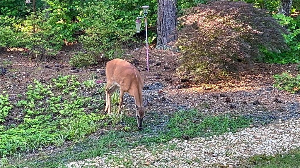 37 Farmstead Way Senoia, GA 30276 - Photo 116 of 121