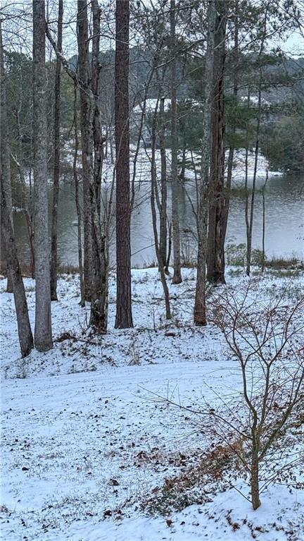 37 Farmstead Way Senoia, GA 30276 - Photo 117 of 121