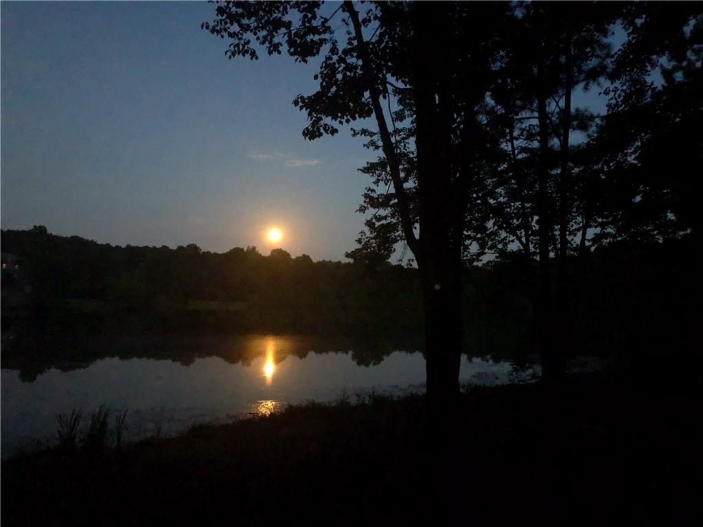 37 Farmstead Way Senoia, GA 30276 - Photo 12 of 121