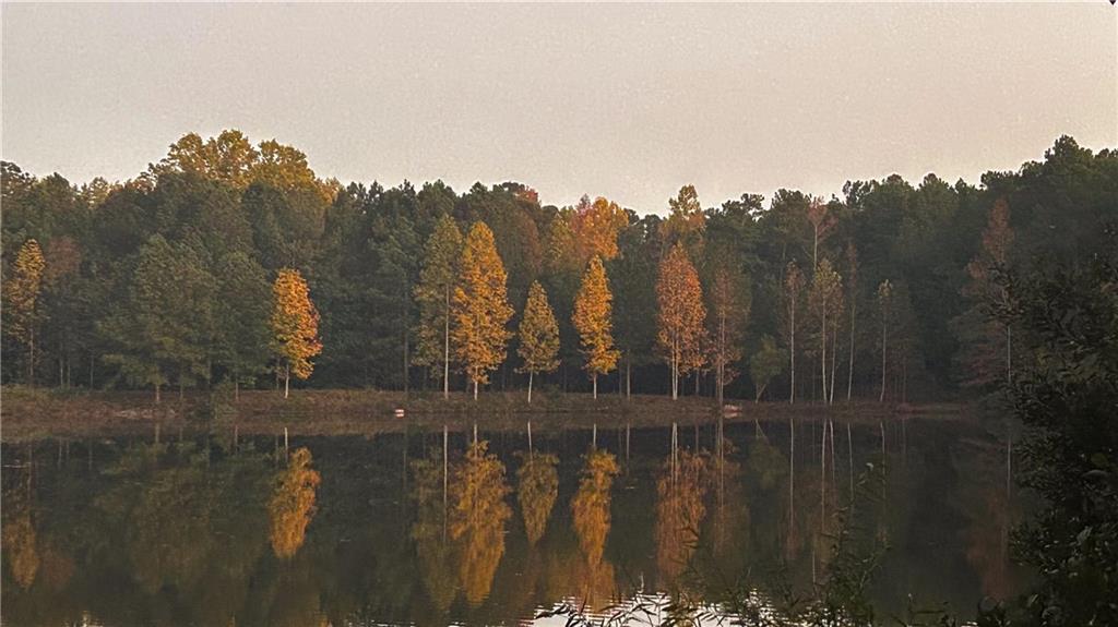 37 Farmstead Way Senoia, GA 30276 - Photo 2 of 121