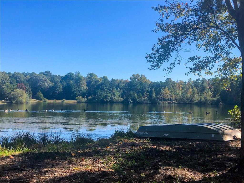 37 Farmstead Way Senoia, GA 30276 - Photo 4 of 121