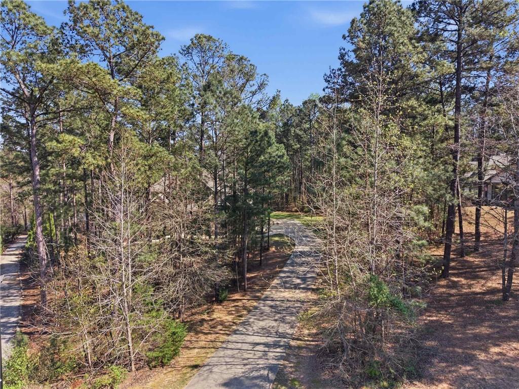 37 Farmstead Way Senoia, GA 30276 - Photo 5 of 121